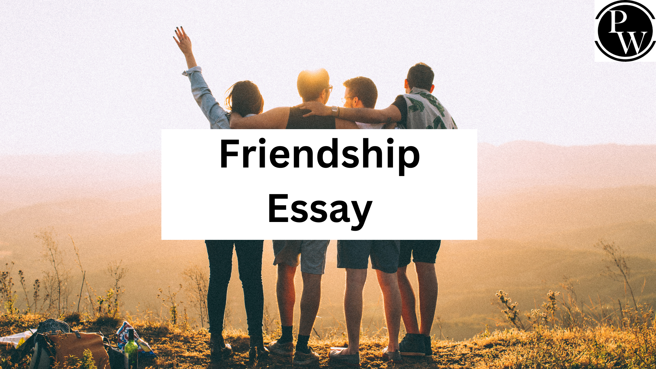 Friendship Essay
