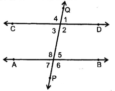 Lines And Angles
