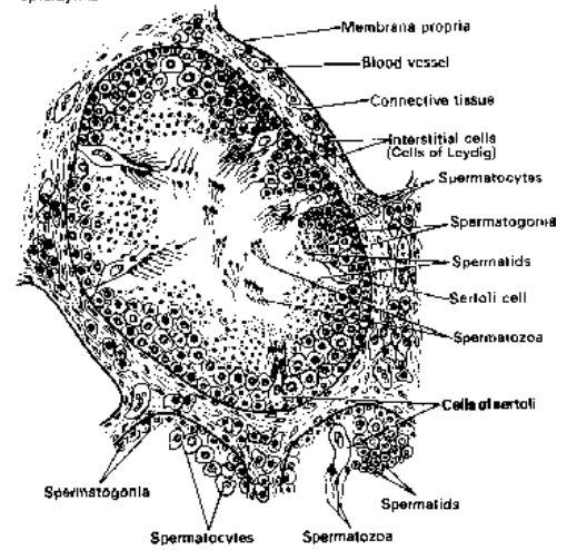 zoology