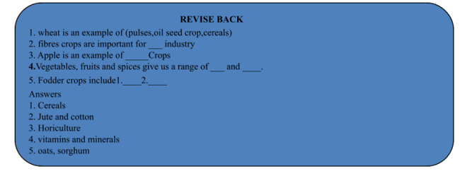 TYPES OF CROPS