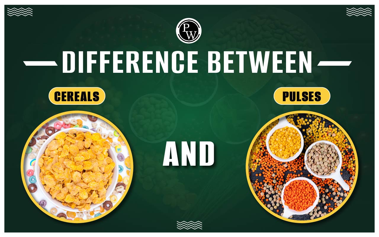 Difference Between Cereals and Pulses