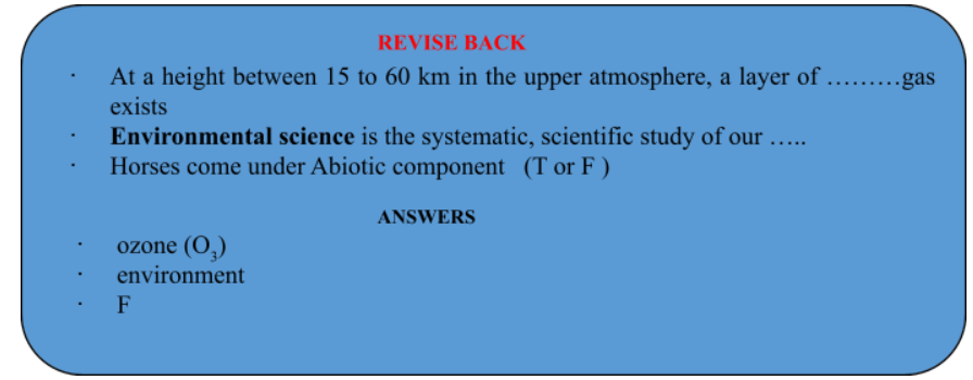 revision