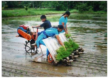 agriculture