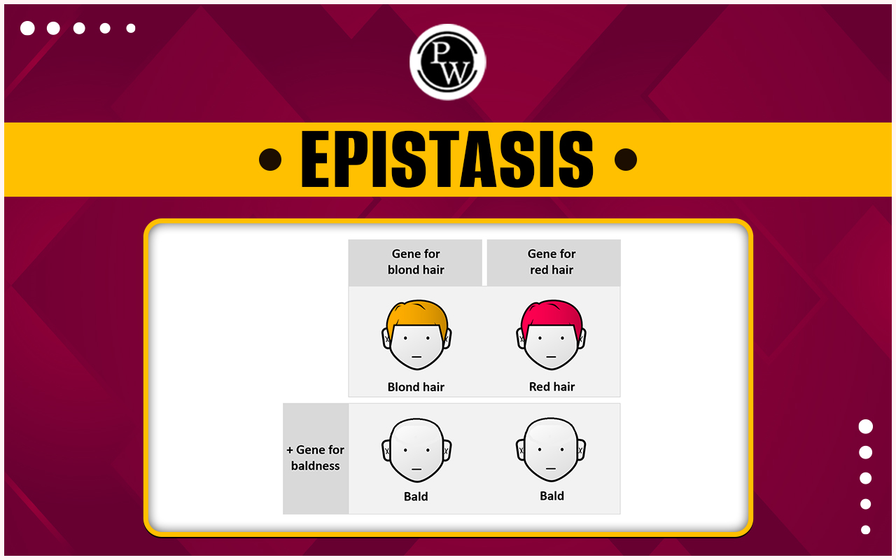 Epistasis