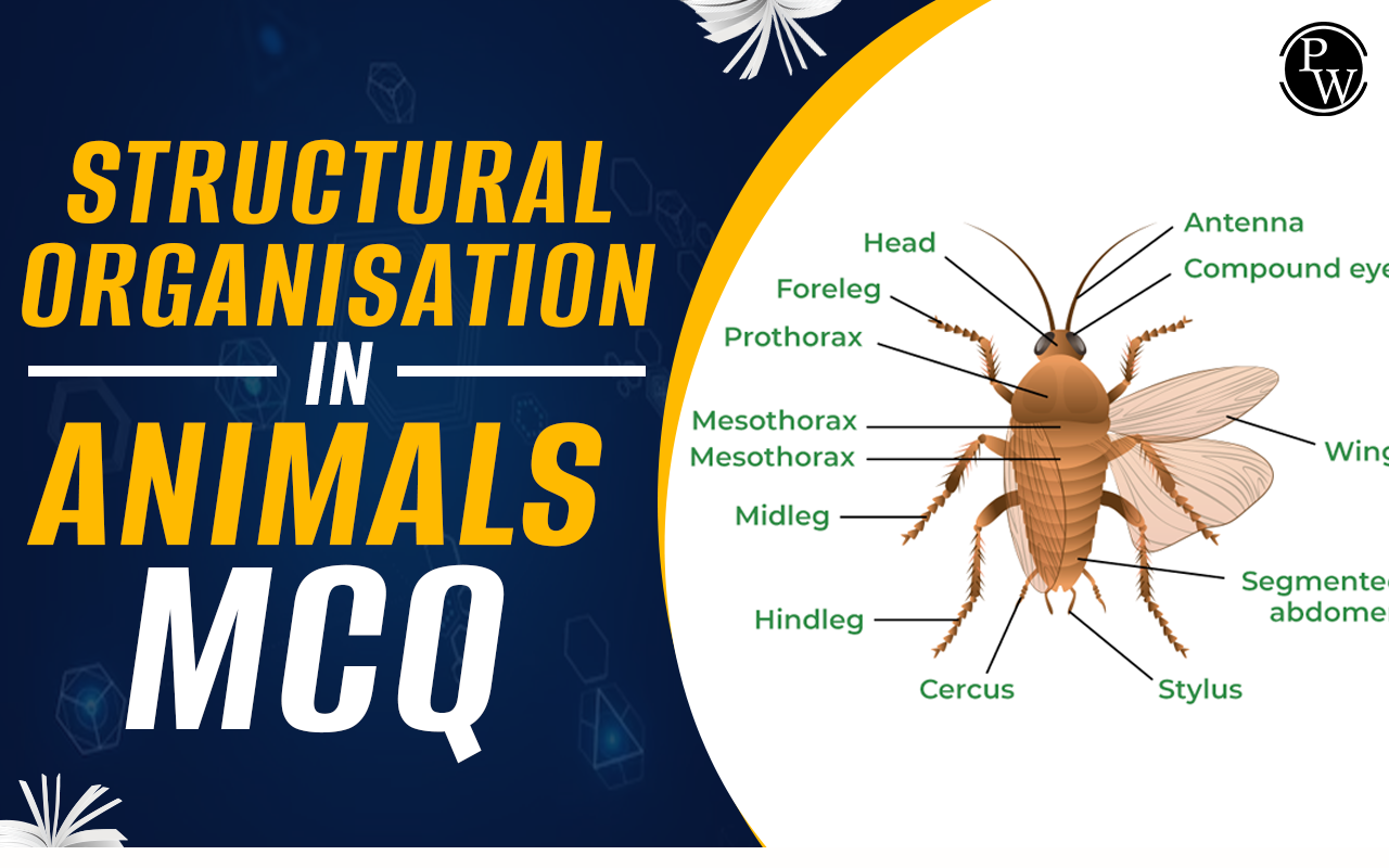 Structural Organisation in Animals MCQ
