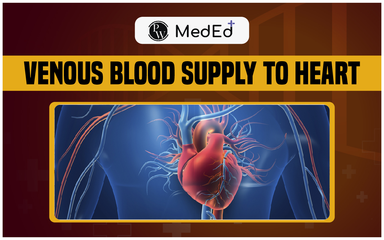 Venous Blood Supply to Heart