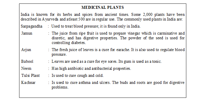 medicinal plants