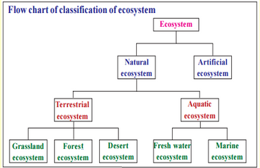 ecosystem