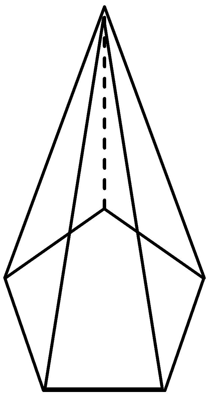 POLYHEDRONS AND NON-POLYHEDRONS