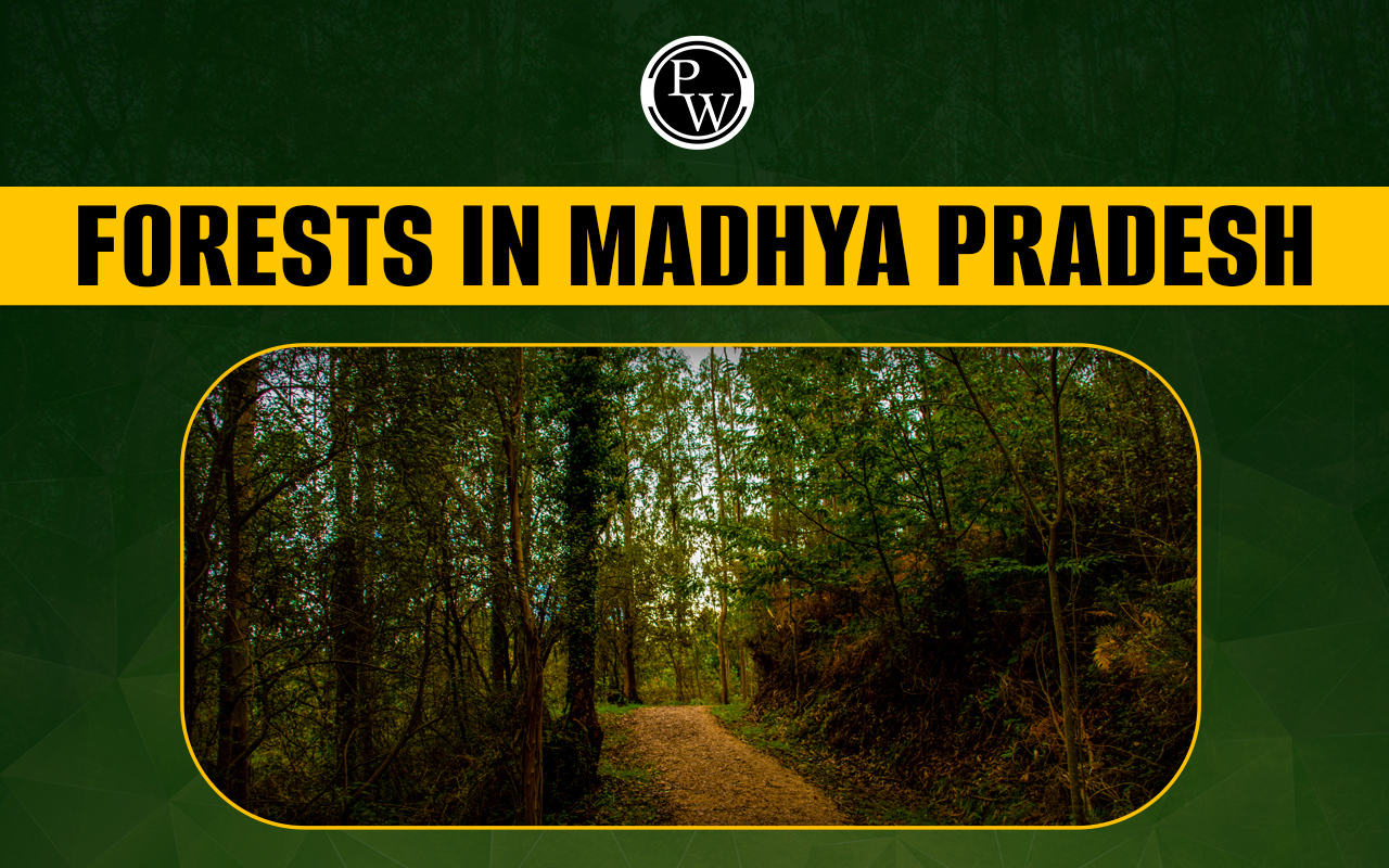 Forests in Madhya Pradesh