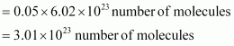 ncert solution