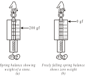 MASS AND WEIGHT