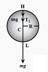 NCERT Solutions for Class 11  Physics Chapter 5 - Laws Of Motion