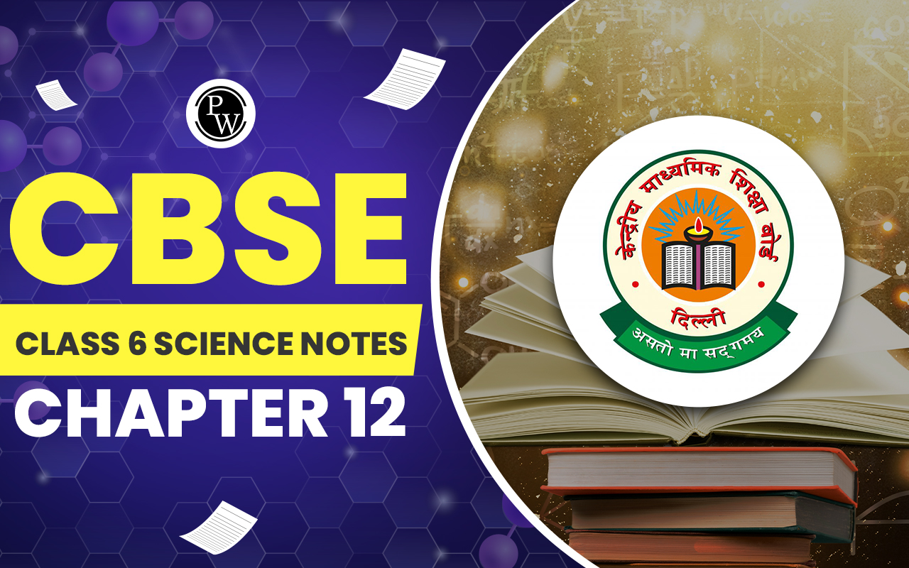 CBSE Class 6 Science Notes Chapter 12
