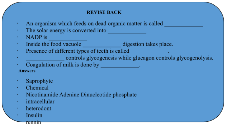 Nutrition In Human Beings