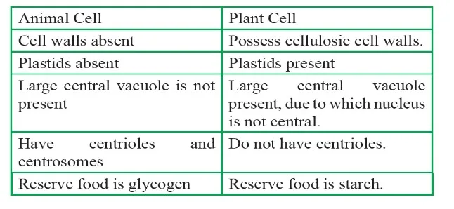 Comparison of Animal and Plant Cells