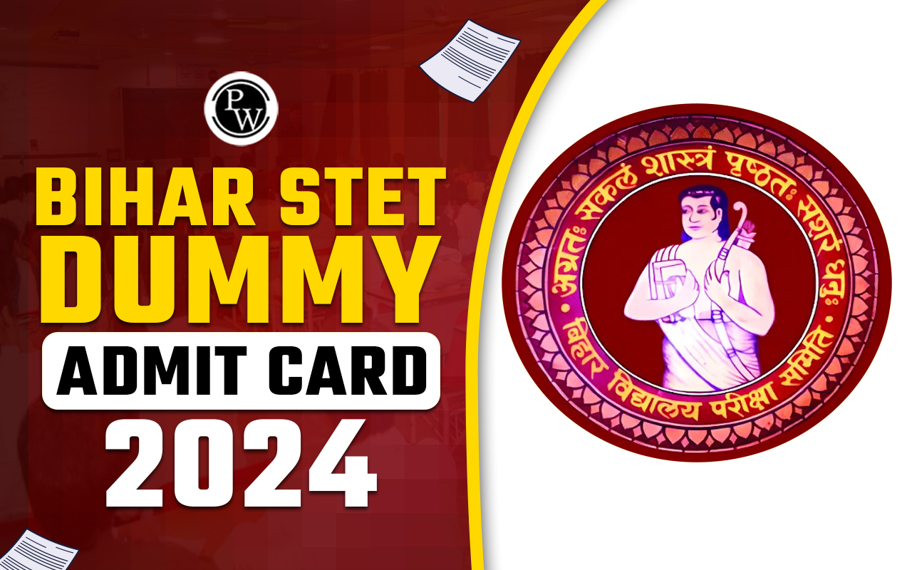 Bihar STET Dummy Admit Card 2024
