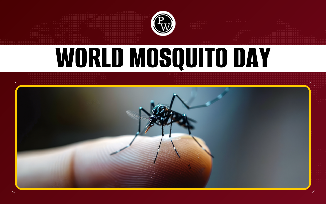 World Mosquito Day 2024