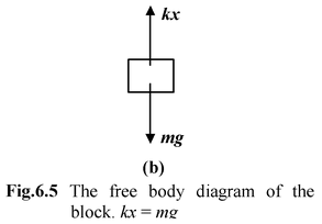 Equilibrium