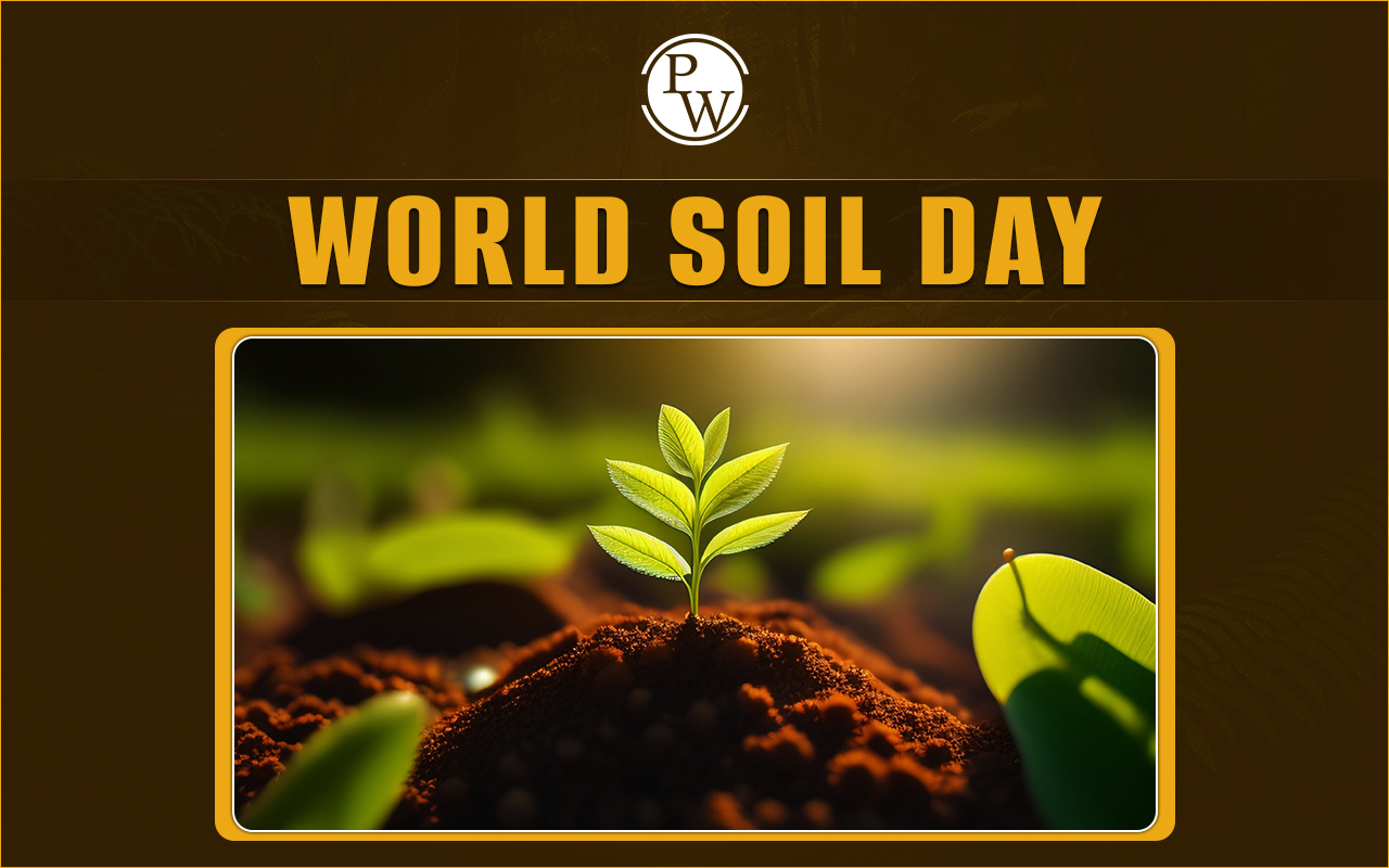 World Soil Day 2024