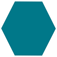 Hexagon Shape Image