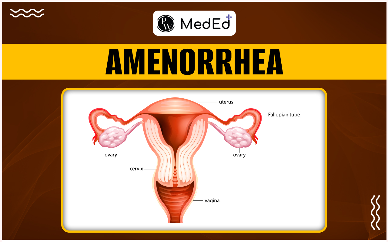 Amenorrhea Causes, Symptoms, Risk Factors, and Treatment