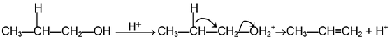 Mechanism Of Organic Reaction