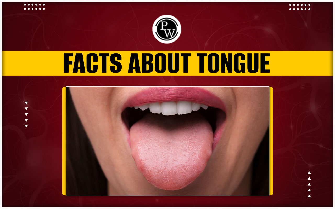 Tongue