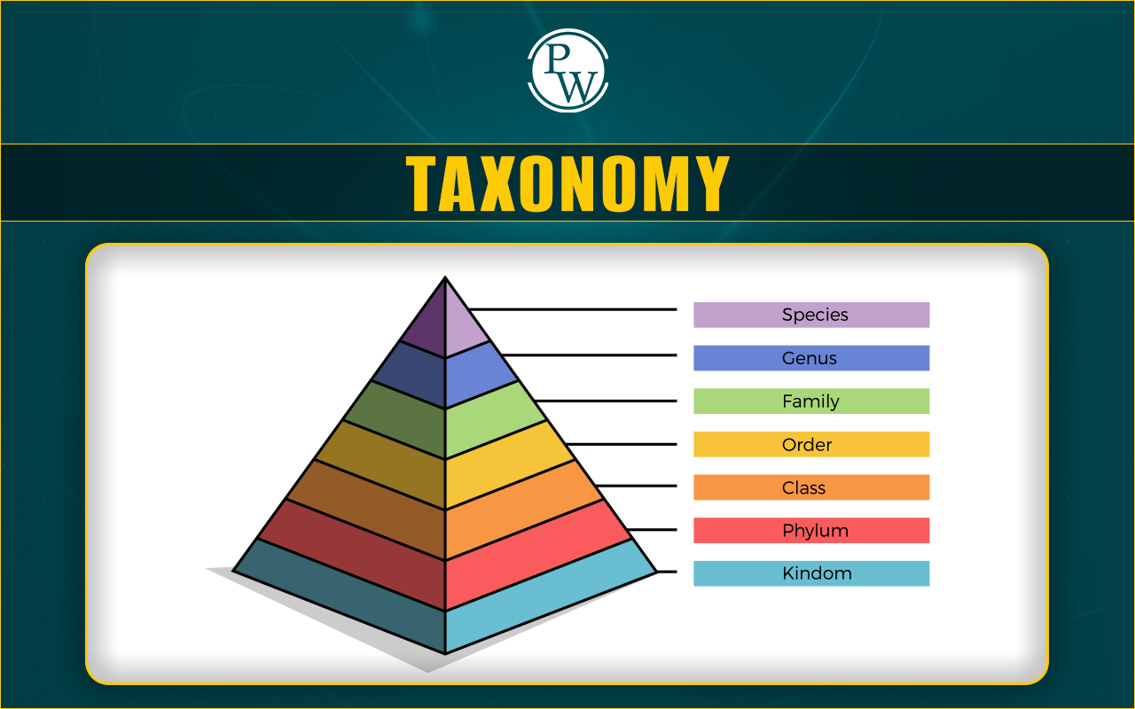 Taxonomy, Definition, Modern Trends, Process, and Benefits