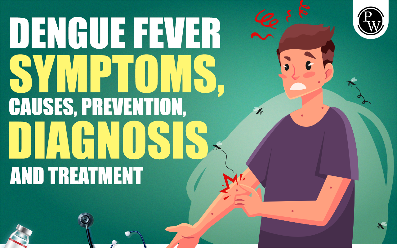 Dengue Fever Symptoms, Causes, Prevention, Diagnosis and Treatment