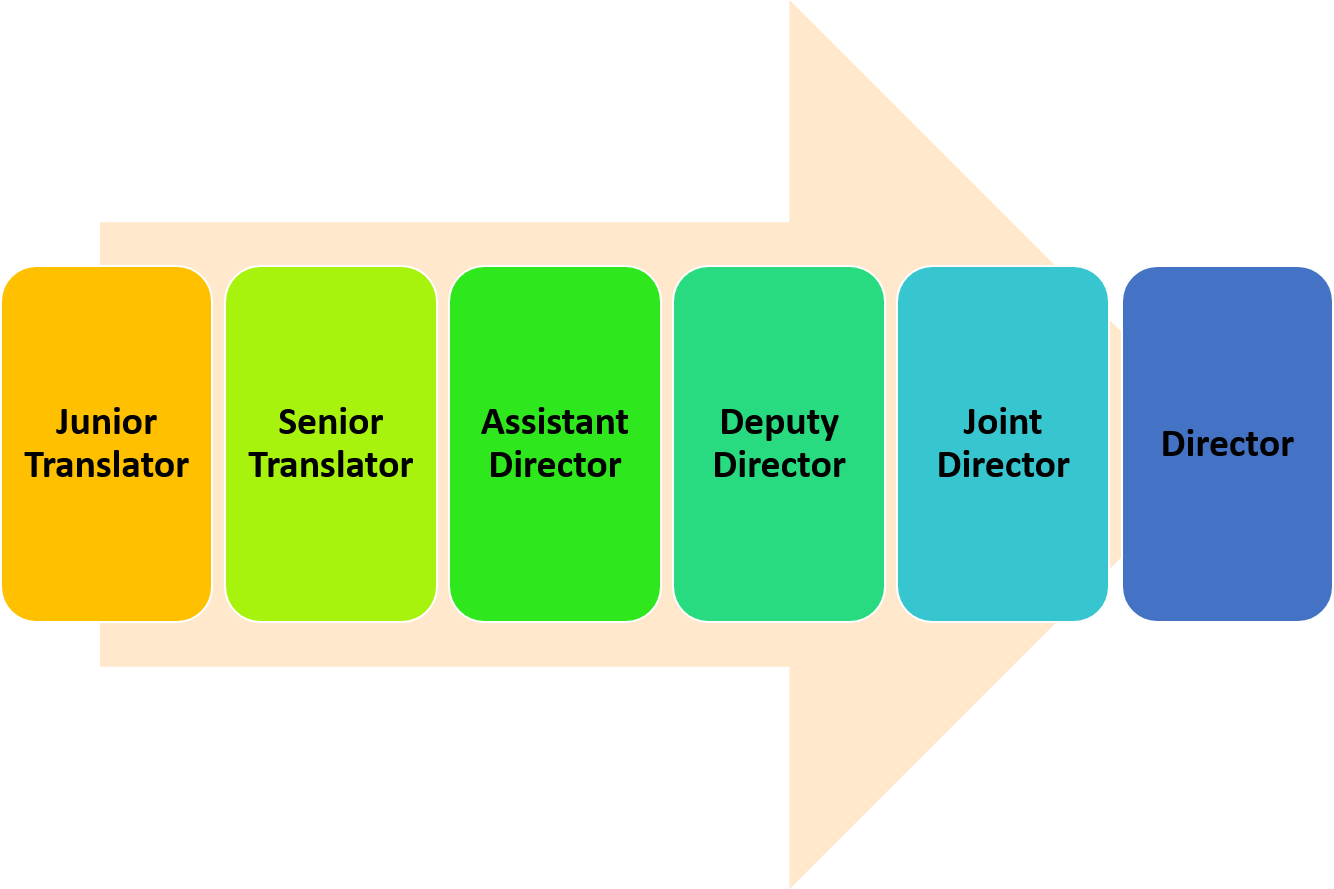 SSC JHT Career Growth