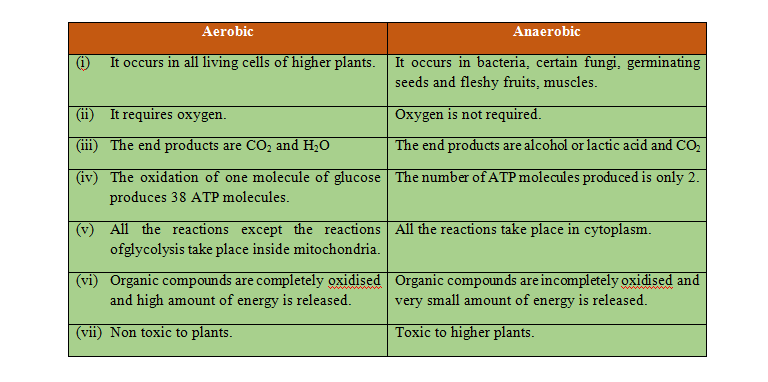 differences between aerobic and anaerobic respiration