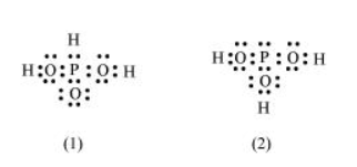 NCERT Solutions for Class 11
