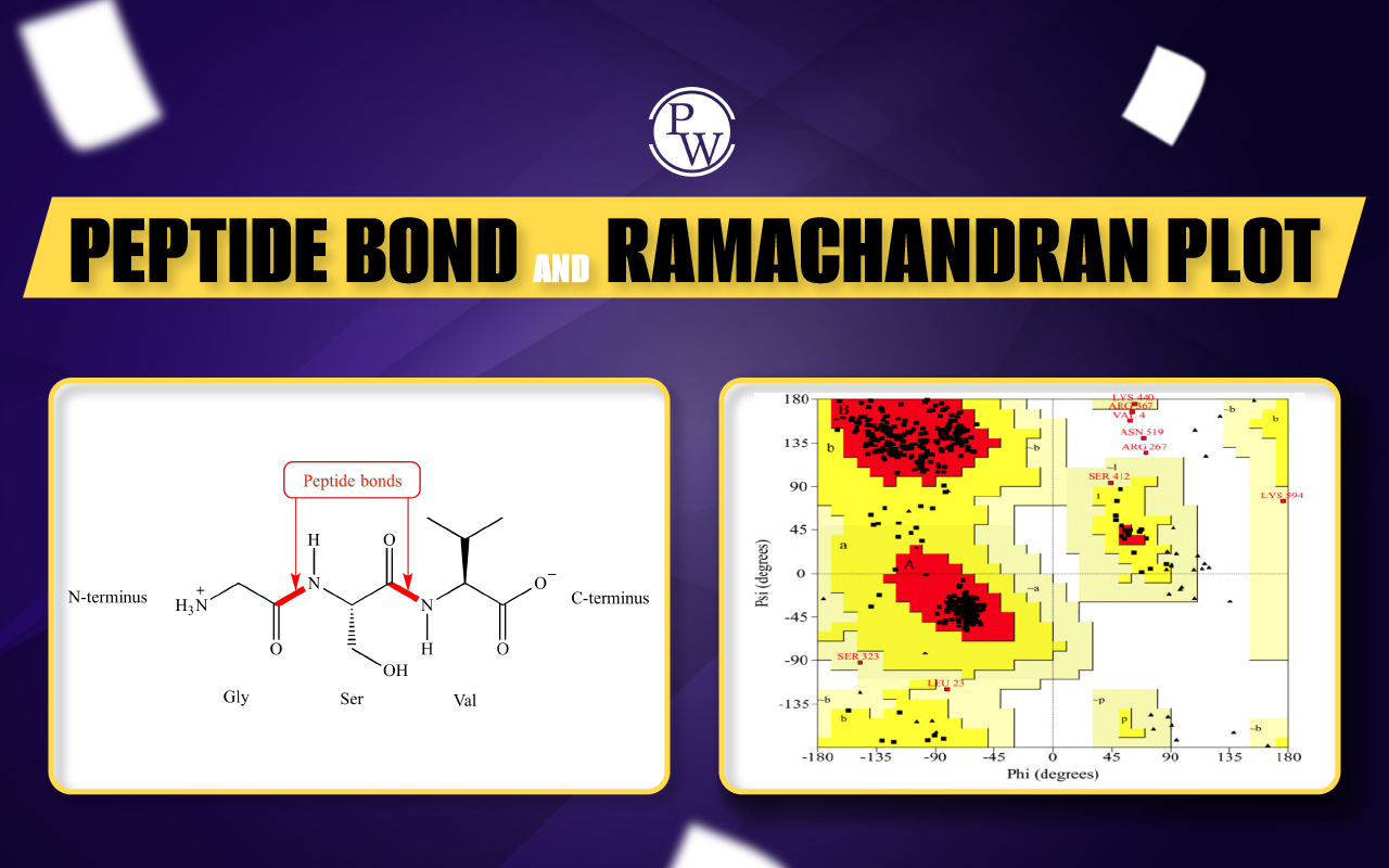 Peptide Bonds And Ramachandran Plots