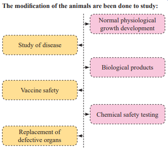 Transgenic Animals