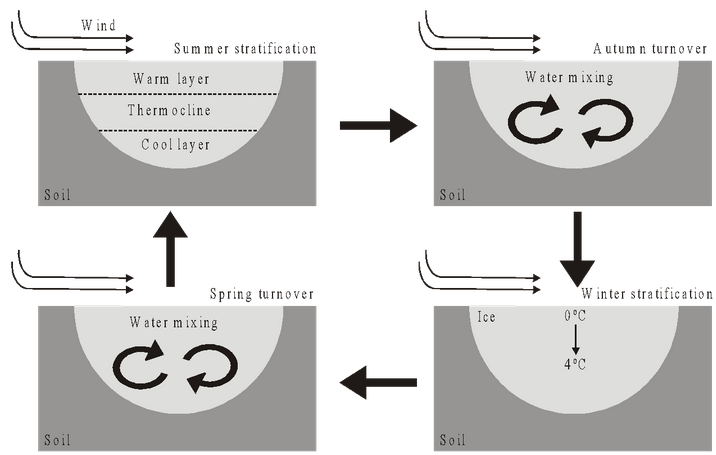 Environment Factors