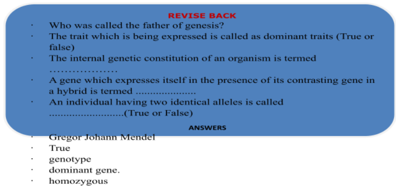 revision