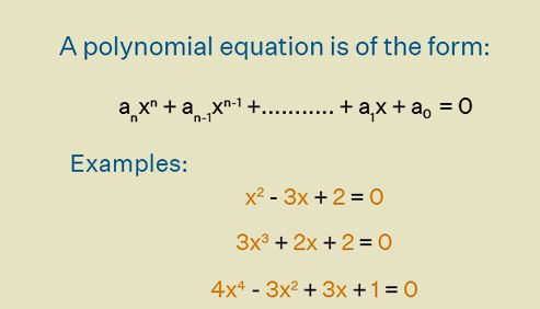 Polynomial Equation