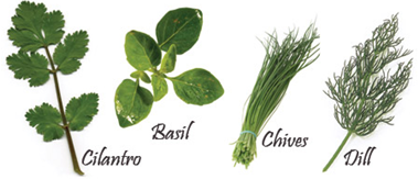 herbs