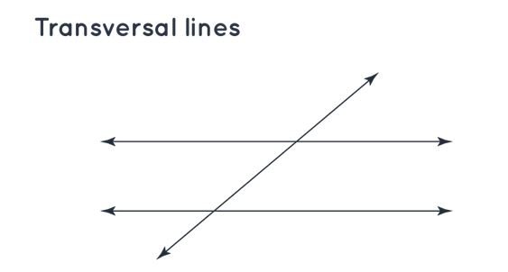 Transversal Lines
