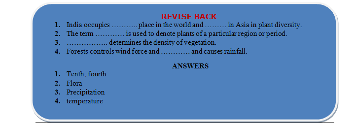 forest our life revision