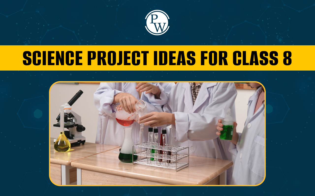 Science Project Ideas for Class 8