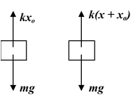 The Spring-Mass System