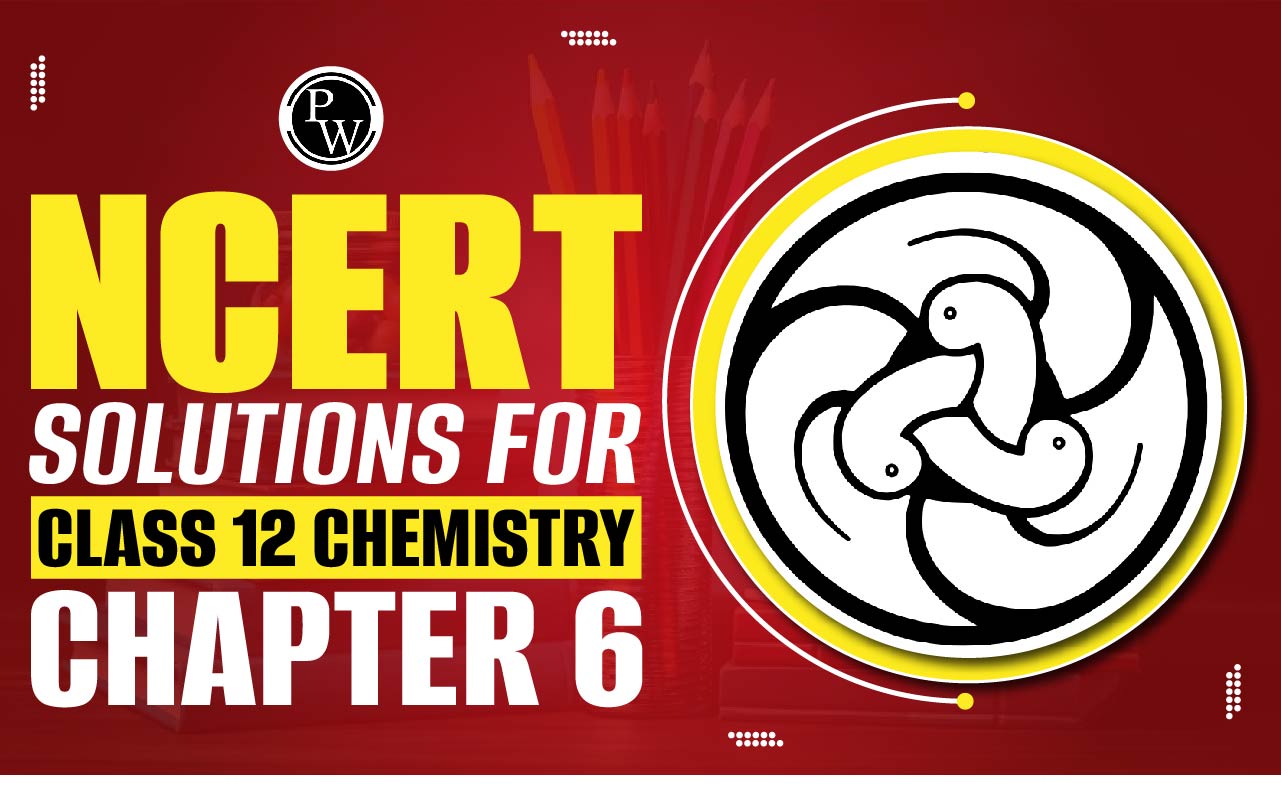 NCERT Solutions for Class 12 Chemistry Chapter 6