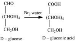 NCERT Solutions for Class 12  Chemistry Chapter 14 - Biomolecules