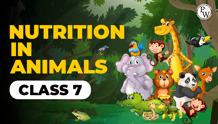 nutrition in animals