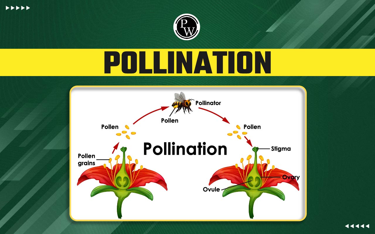 Pollination