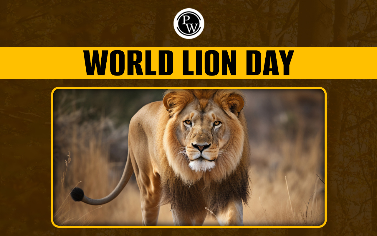 World Lion Day 2024
