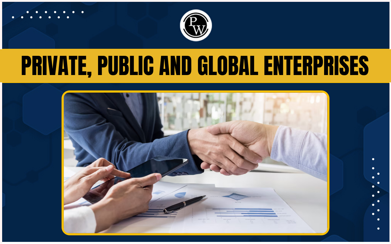 Private, Public and Global Enterprises for Class 11