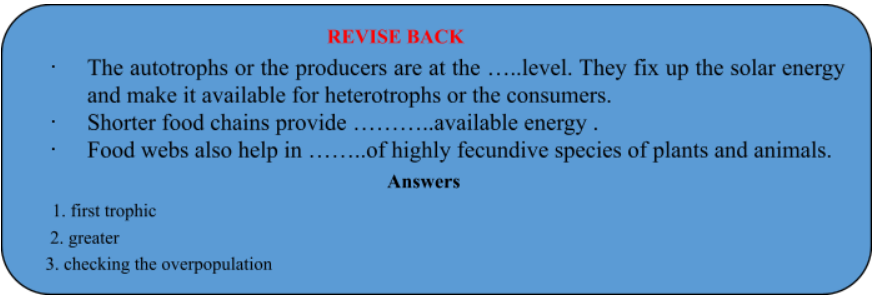 revision